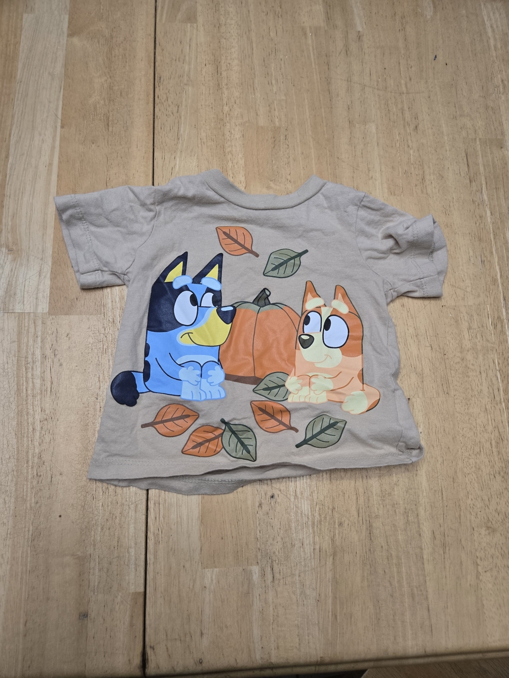 Beige Short Sleeve Kids Tee with Blue and Orange Cartoon Puppies